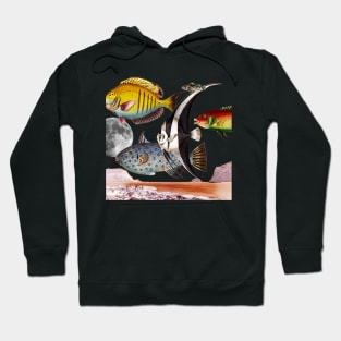 Fish World Collage Hoodie